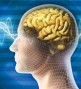 मेंदूतील गडबडीमुळे ओसीडी हाेताे